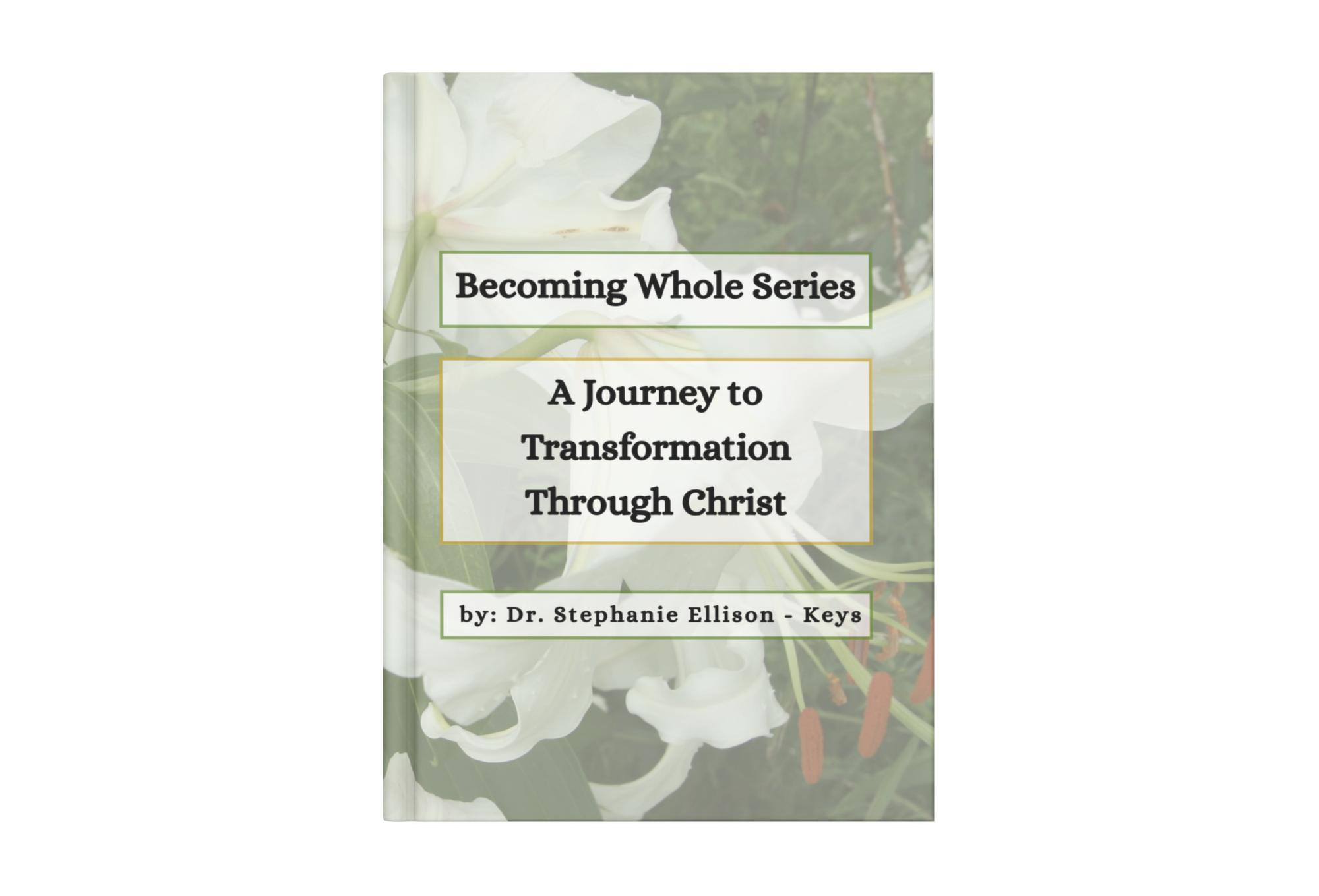 Becoming Whole Series: A Journey to Transform Through Christ